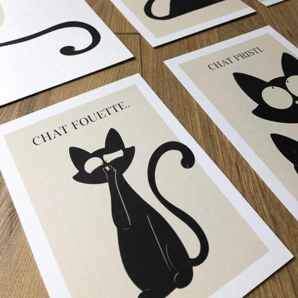 Chat fouette