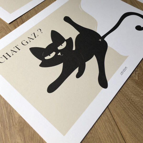 Chat gaz